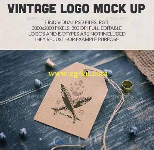 海洋主题复古LOGO设计展示PSD模板sea-vintage-mock-up-13771903的图片2