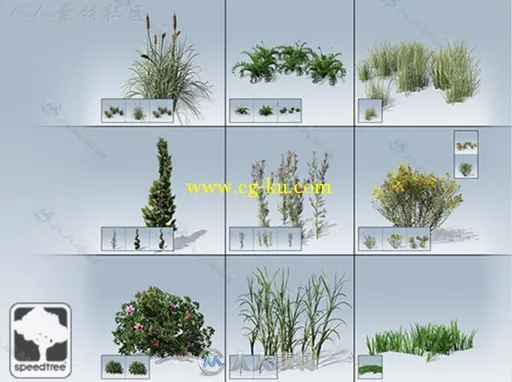 桌面地面封装SpeedTree®植物模型Unity3D素材资源的图片1