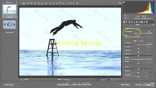 PS CC 2017摄影师应用技巧大师级视频教程 Photoshop CC 2017 for Photographers的图片1