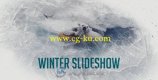 时尚史诗冬季幻灯片相册动画AE模板 Videohive Winter Project Slideshow 19136136的图片2