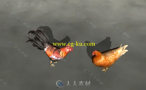 良好的操纵鸡动物角色3D模型Unity素材资源的图片3