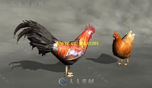 良好的操纵鸡动物角色3D模型Unity素材资源的图片4