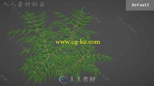 基于半透明表面的物理的阴影3A级植物着色器Unity素材资源的图片3