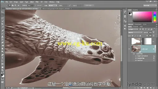 第106期中文字幕翻译教程《Photoshop CC全面核心训练视频教程》人人素材字幕组的图片1