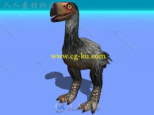 史前生物不会飞的鸟生物角色3D模型Unity游戏素材资源的图片3