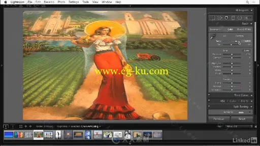 Lightroom创意色彩控制技术训练视频教程 Lightroom Creative Color的图片1