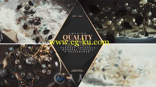 时尚优雅华丽的产品展示促销幻灯片AE模板 Videohive Premium Product Slides 1...的图片1