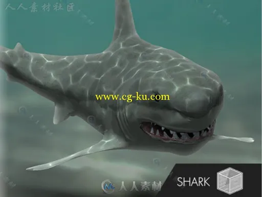 凶猛的大白鲨鱼类动物角色3D模型Unity游戏素材资源的图片1