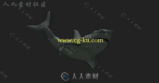 凶猛的大白鲨鱼类动物角色3D模型Unity游戏素材资源的图片2