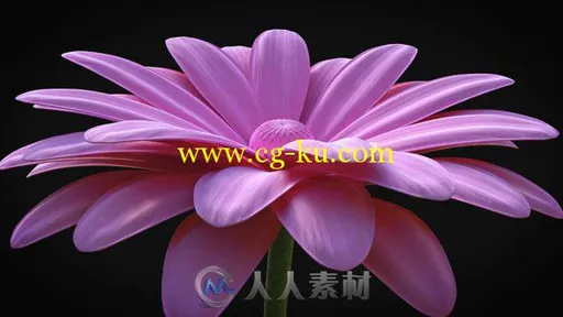 美丽优雅的花朵标志展示Logo演绎AE模板Videohive Flower - Elegant Logo Reveal 1...的图片1