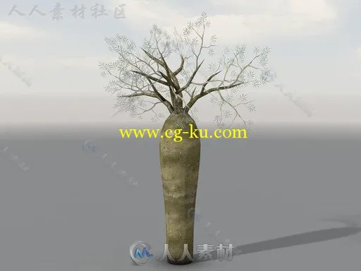 独特的热带植被植物3D模型Unity游戏素材资源的图片10