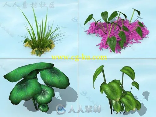 水生植物3D模型Unity游戏素材资源的图片1