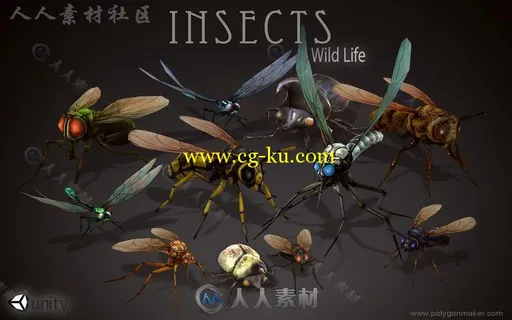 野生动物昆虫生物角色3D模型Unity游戏素材资源的图片3