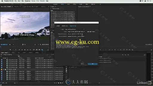 Premiere在离线代理工作流程视频教程 Premiere Pro Guru Online Offline Workflows的图片3