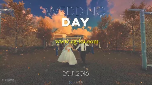 奇幻创意有趣婚礼片头视频包装AE模板Videohive Wedding Day Fantasy Poster Tease的图片3