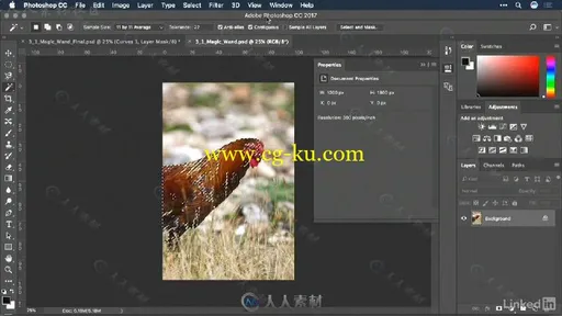 PS选择工具高级使用技巧视频教程 Photoshop Selections Tips Tricks and Techniques的图片2