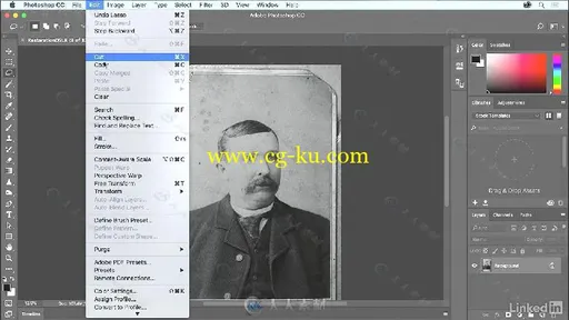 PS如何修复珍贵照片技术视频教程 Learning Photo Restoration with Photoshop的图片3