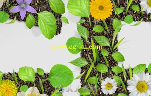 清新自然的绿叶花卉生长字母表标题动画AE模板 Videohive Foliage Alphabet 16562797的图片3