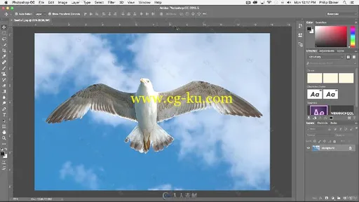 PS初学者入门技术训练视频教程 UDEMY PHOTOSHOP CC FOR BEGINNERS MASTER PHOTOSHO的图片2