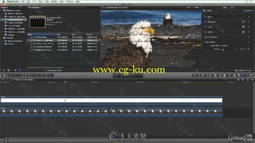 Final Cut Pro X混合特效技术视频教程 Final Cut Pro X Guru Blending Mode Secrets的图片3