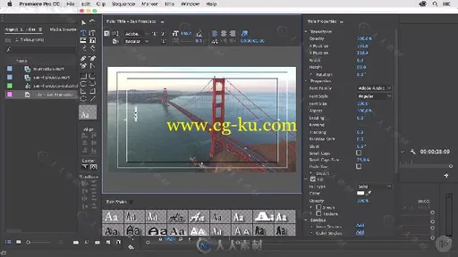 Premiere Pro CC标题动画技术训练视频教程 PLURALSIGHT PREMIERE PRO CC TITLES的图片2
