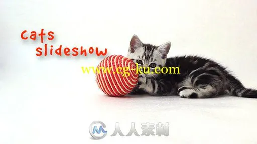 美丽可爱的小猫展示照片幻灯片相册动画AE模板 Videohive Cats Slideshow 18983291的图片1