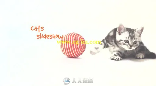 美丽可爱的小猫展示照片幻灯片相册动画AE模板 Videohive Cats Slideshow 18983291的图片3