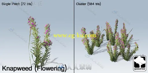 无缝的移动地面覆盖植被植物3D模型Unity游戏素材资源的图片12