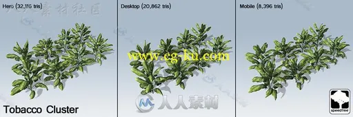 现代花草SpeedTree®植物3D模型Unity游戏素材资源的图片1