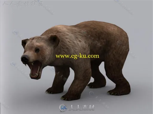 凶猛的熊动物角色3D模型Unity游戏素材资源的图片1