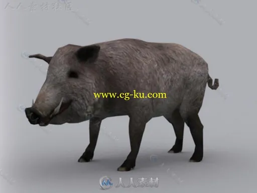 凶猛的雄性野猪哺乳动物角色3D模型Unity游戏素材资源的图片1