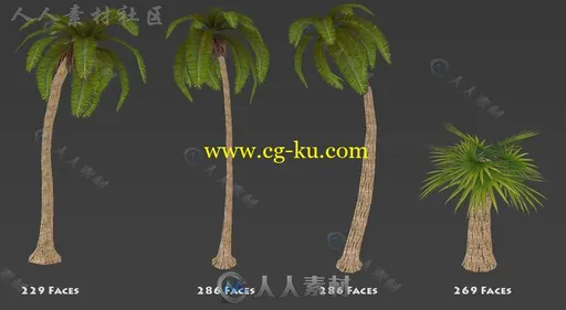 4种不同的低聚棕榈树植物3D模型Unity游戏素材资源的图片2