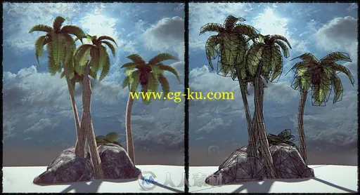 4种不同的低聚棕榈树植物3D模型Unity游戏素材资源的图片3