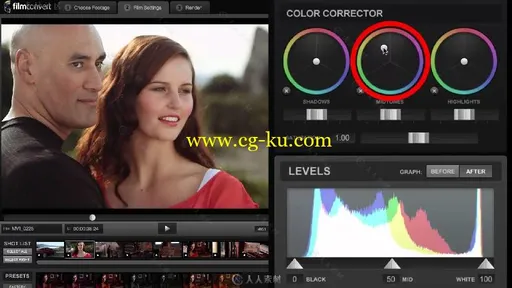 FilmConvert数字转胶片插件V2.39CE版 RUBBER MONKEY FILMCONVERT PRO AEX V2.39 CE的图片3