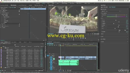 Premiere专业视频编辑完整训练视频教程 UDEMY ADOBE PREMIERE PRO CS6 THE COMPLET的图片15