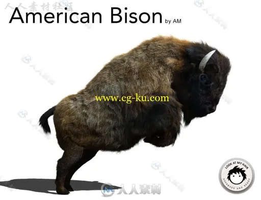 高大强壮的美国野牛动物角色3D模型合辑的图片2