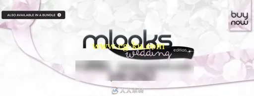 mLooks Wedding Eddition 50组高端婚礼调色预设的图片1