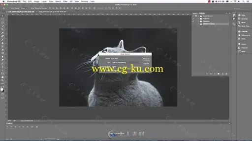 PS动作自动化制作与实用技巧视频教程 SKILLSHARE PHOTOSHOP ACTIONS IN ACTION: SI的图片3