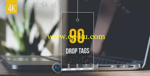 创意吊牌标签图片文字信息展示幻灯片产品宣传AE模板Videohive 90 Drop Tags 19980498的图片1