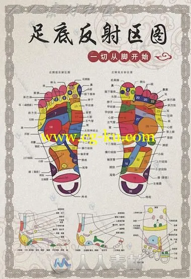 超精细人体经络穴位图、足底穴位反射图C4D贴图素材的图片2