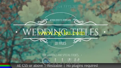 完美优雅浪漫独特的婚礼文字标题动画展示AE模板 Videohive Wedding Titles 19995952的图片2