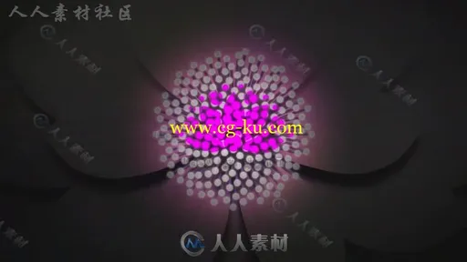 美丽可爱精致的花朵优雅绽放标志显示LOGO演绎AE模板 Flower Heart的图片3