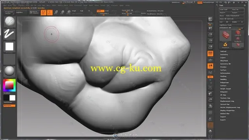 ZBrush角色精细化雕刻大师级训练视频教程 MOLD3D ACADEMY MASTER ORGANIC MODELING的图片1