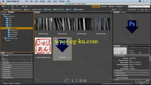 PS自动化高效技巧视频教程 Photoshop Automation Tips Tricks and Techniques的图片7