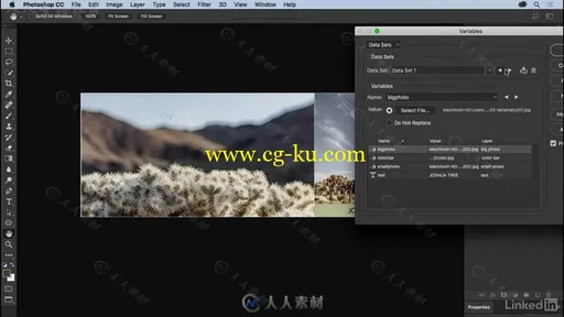 PS自动化高效技巧视频教程 Photoshop Automation Tips Tricks and Techniques的图片8