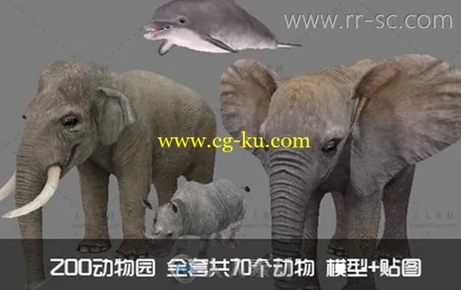 《ZOO动物园》全套共70个动物3D模型带贴图的图片1