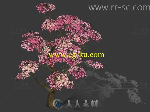 精美桃花树大场景使用3D模型的图片1