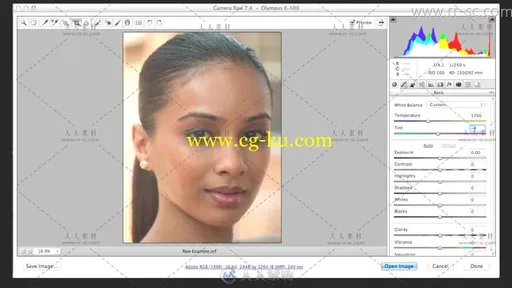 美容修饰 Adobe Photoshop视频教程的图片1