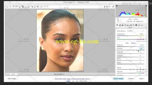 美容修饰 Adobe Photoshop视频教程的图片8