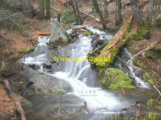 一组自然唯美的山川树林小溪流水特写标清实拍视频素材的图片2